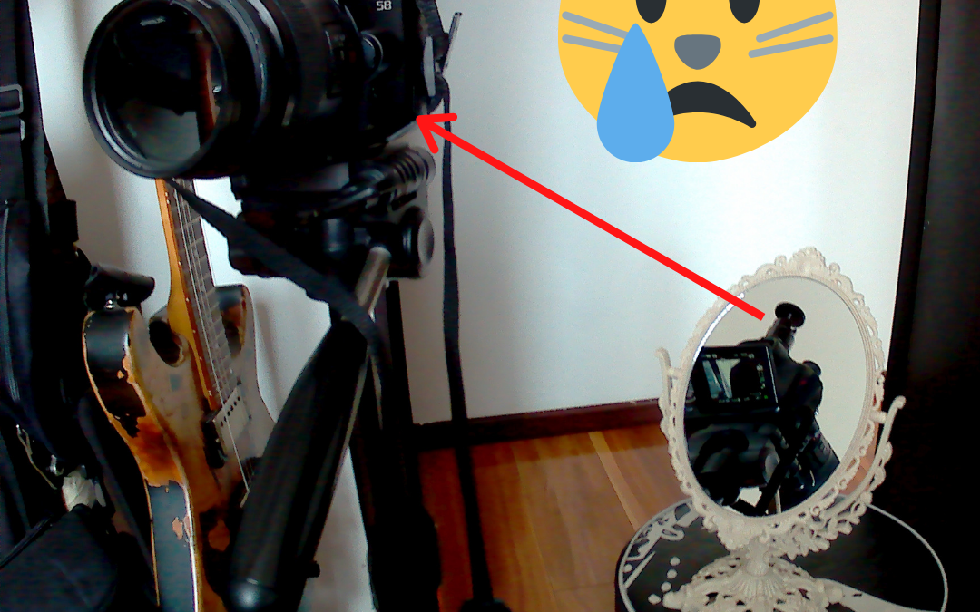 Mirror, mirror in the …chair😿
