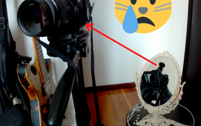 Mirror, mirror in the …chair😿